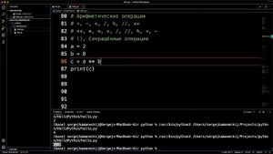Урок 1. Знакомство с Python — Знакомство с языком Python (лекции)