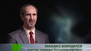 Живая тема-36.