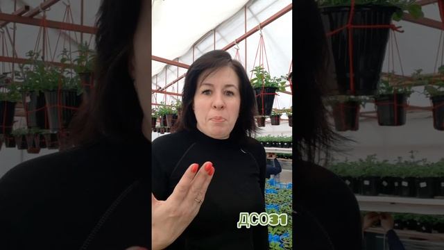 Мужик сказал -мужик сделал! ? Свет для рассады цветов.