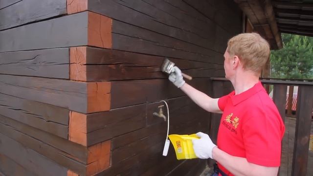 Натуральное масло для дерева