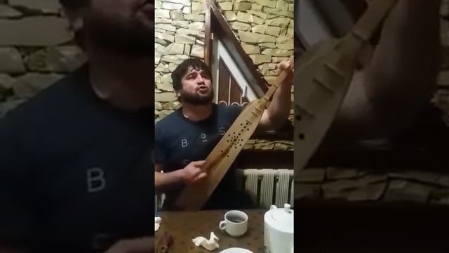 Чародинцы