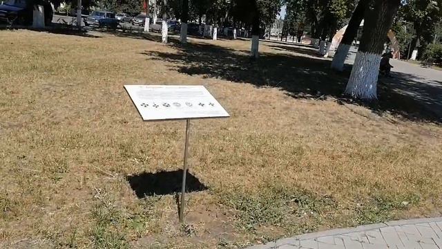 Город в котором я живу. Обзор сквера, центра города, часть 2. смотреть онлайн