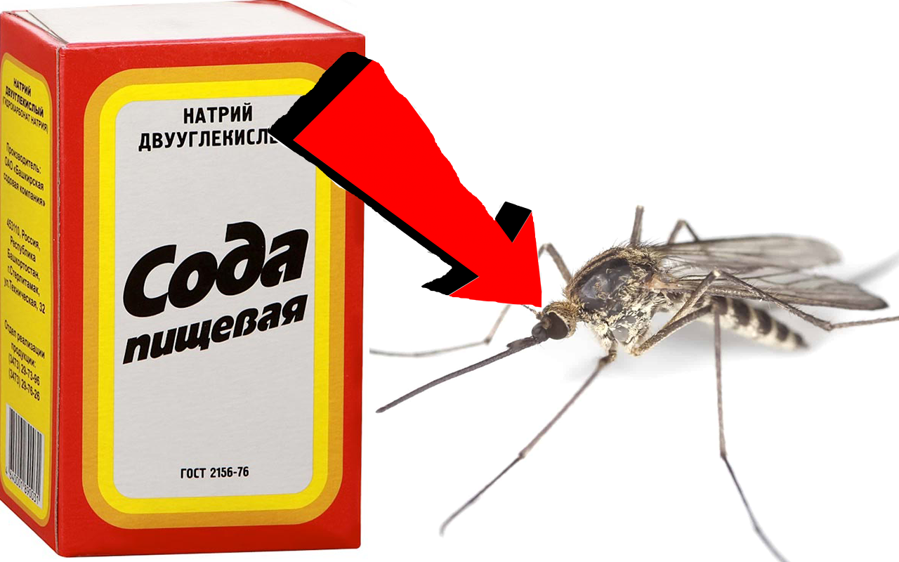 Как избавиться от комаров За 3 Секунды!