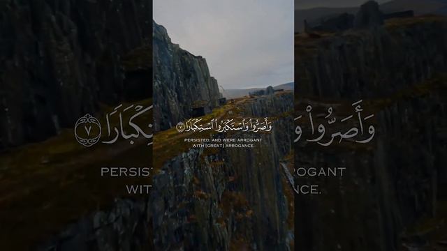 تأملات قرآنية_صوت السكينة_تلاوات مميزة  آيات قصيرة من القرآن الكريم#آيات#quran#shorts🦢