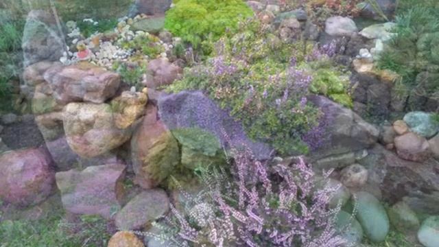 МНОГОЛЕТНИКИ НА КАМЕННЫХ ГОРКАХ В ДИЗАЙНЕ САДА / Rock garden in the garden ? смотреть онлайн