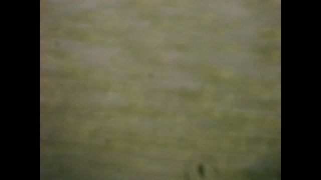 Гриб с компоста смотреть онлайн