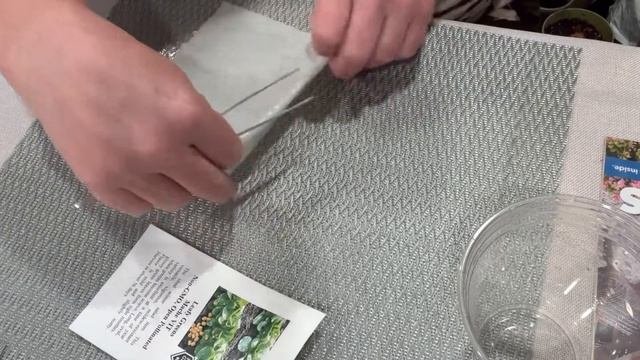Проращивание семян, 4 способа.