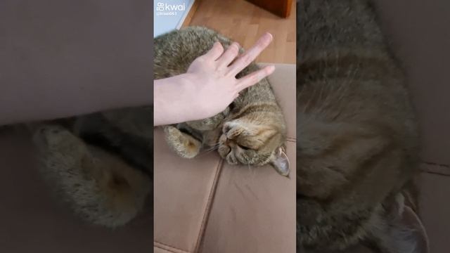 Чмоки чмоки Лизу. Так и хоцца её потискать