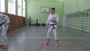 Удар сокуто или кансэцу гери. традиционный удар в карате