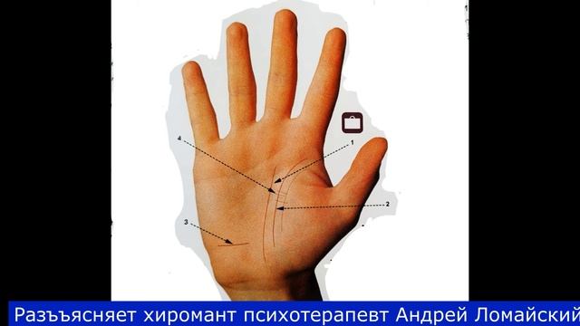 Хиромантия. Разъяснения и иллюстрации. Хиромант Андрей Ломайский.Линия судьбы - начало в самом верх