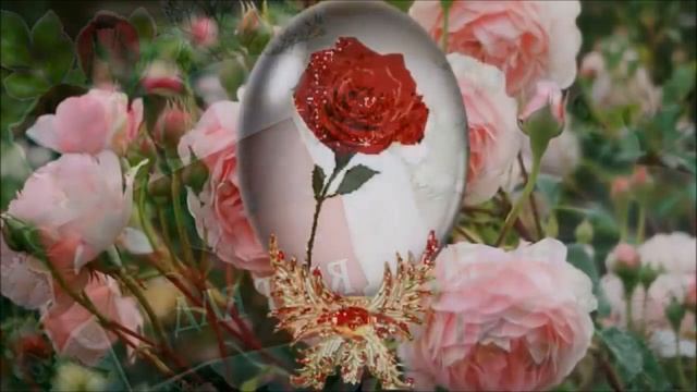 С Днём Рождения !!! смотреть онлайн