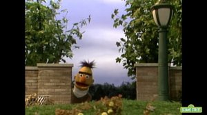 Sesame Street: Animals for Kids Compilation | 2 Hours