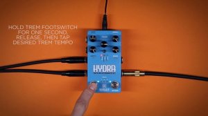 Keeley Electronics HYDRA Stereo Reverb and Tremolo - Technical Demo
