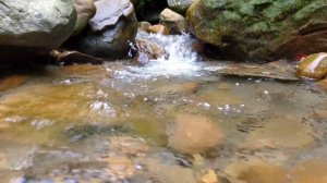 Умиротворяющая музыка для глубокого сна ? Музыкальная терапия, легкий гипноз ?