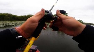 Best Baitcast Reel for Beginner Casting Demonstration Fishing KastKing Speed Demon