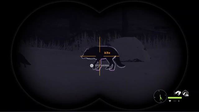 Hunting every animal in MedVed-Taiga with only SHOTGUNS | Spirit Bear! смотреть онлайн