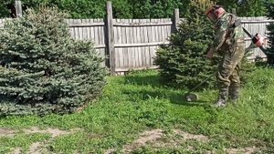 КОШЕНИЕ ТРАВЫ. STIHL FS 55.MOWING GRASS. STIHL FS 55.