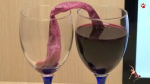 Капиллярный эффект (ОПЫТ)