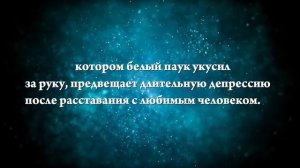 К чему снится белый паук - Онлайн Сонник Эксперт