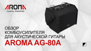 Обзор комбоусилителя для акустической гитары AROMA AG-80