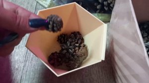Дренаж из шишек ?бесплатно