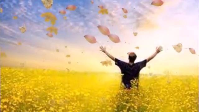 Парад осени !!! Бутырка смотреть онлайн