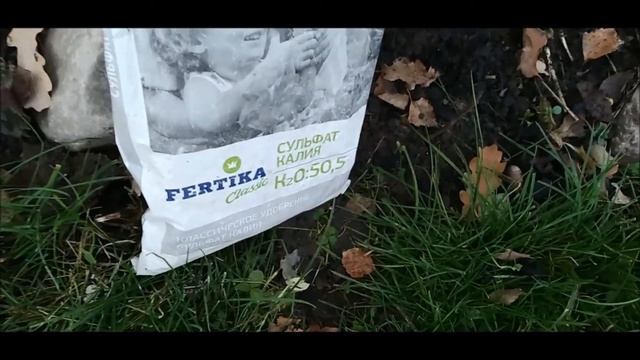 Гейхера Нужно ли обрезать и закрывать на зиму Чем подкормить осенью смотреть онлайн