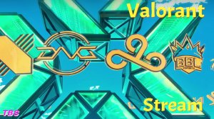 Valorant|Stream