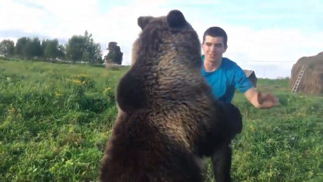 Медвежонок Вася, вольная борьба