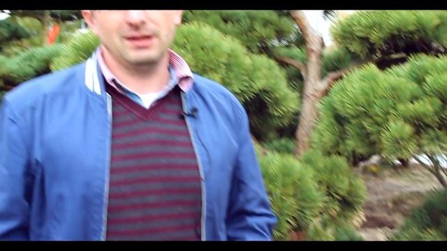 Приглашение на выставку карпов кои смотреть онлайн