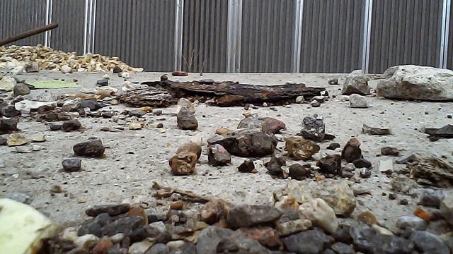 Квадрокоптер. Потеря контроля или появление Отважного смотреть онлайн