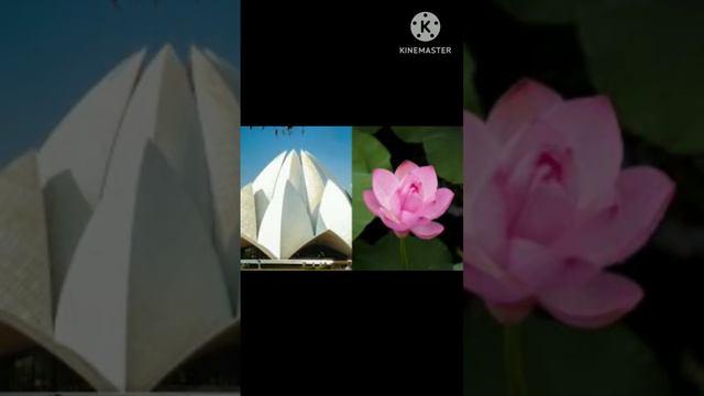 lotus temple facts###viral##########