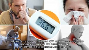 Все об остром трахеите у взрослых