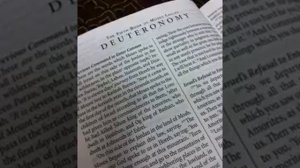 Deuteronomy 19 - New International Version (NIV) Dramatized Audio Bible