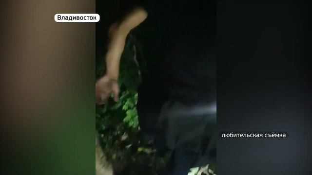 Кричать не было сил: как спасали грибника в Приморье смотреть онлайн