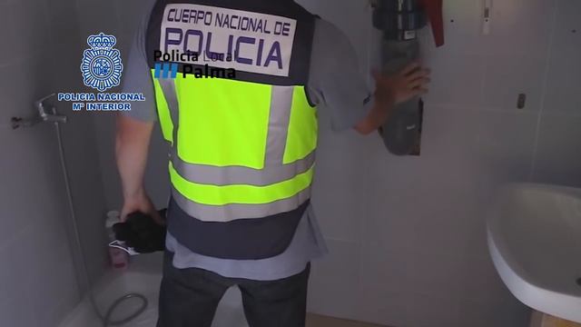 La gran redada contra el narcotráfico en Palma de ayer se salda con nueve detenidos смотреть онлайн