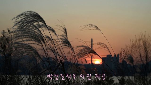 When I dream(Carol Kidd) Alto Saxophone - Kim Chang Woo 20211101 смотреть онлайн