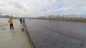 Рыбалка в Тюмени на городской набережной / #StreetfishingTMN