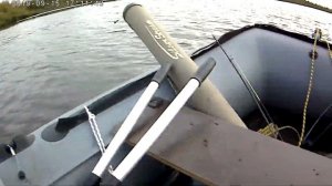 Скорость на Polar Bird 340M + Allfa CG T9.8