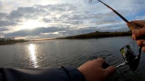 Daiwa X-Cross лучший мелководный воблер.Твичинг.