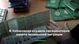 В Хабаровске осудили организаторов канала незаконной миграции