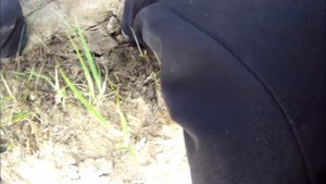 Крупный судак и чехонь на пелагический микроджиг...