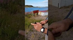 Как чистить морского ежа, чтобы съесть его икру