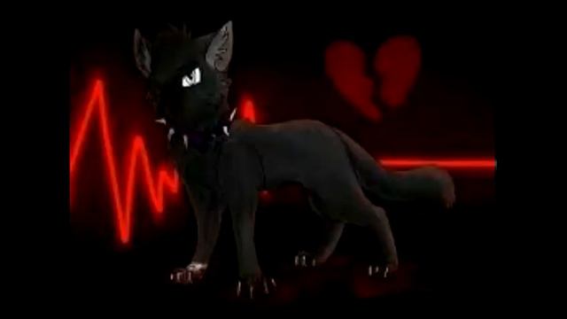 Новые коты демоны смотреть онлайн