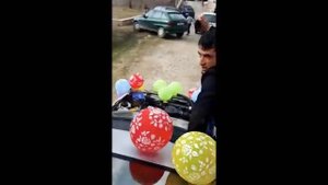 Туй дар кулоб