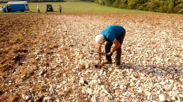 Посадка винограда во Франции. смотреть онлайн