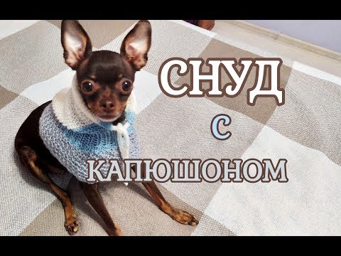 Как связать спицами Снуд с капюшоном для собак и кошек