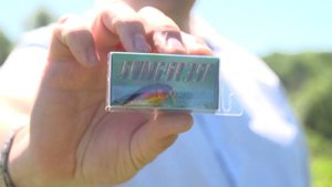 Unboxing посылки  от fmagazin с воблером Bassday Mogul Minnow 110S и  кренком TsuYoki Swing SR 35F