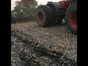 Сеем горох Амаzone DMC-9.