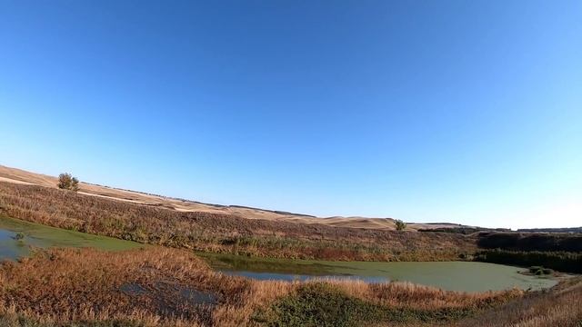 Охота на утку 2021, Вечерка удалась ! И очень приятный подарок от зрителя моего канала! смотреть онлайн